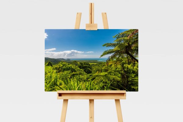 Landscape print, Daintree Rainforest in FNQ, Australia