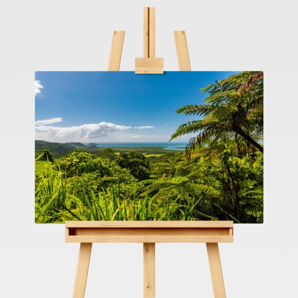 Landscape print, Daintree Rainforest in FNQ, Australia