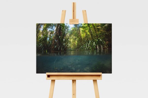 Landscape print of the Blue River in Raja Ampat, Indonesia