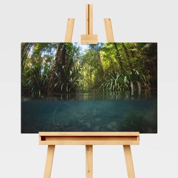 Landscape print of the Blue River in Raja Ampat, Indonesia