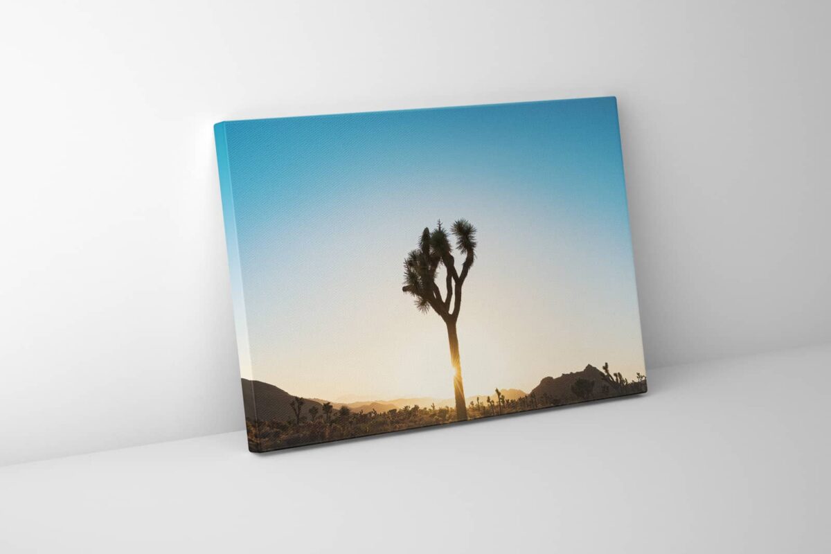 Landscape print of Joshua trees in silhouette at sunset in California
