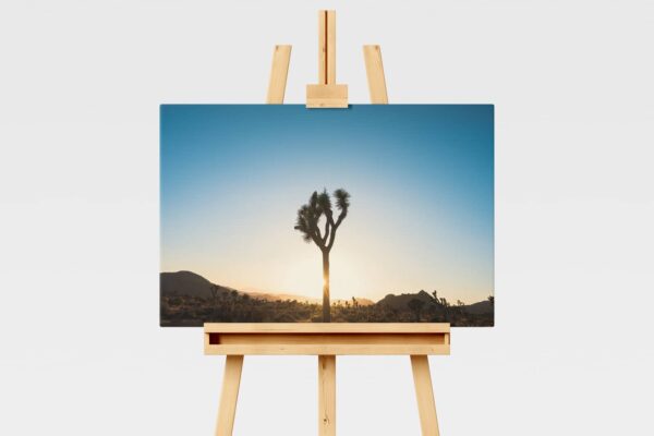 Landscape print of Joshua trees in silhouette at sunset in California