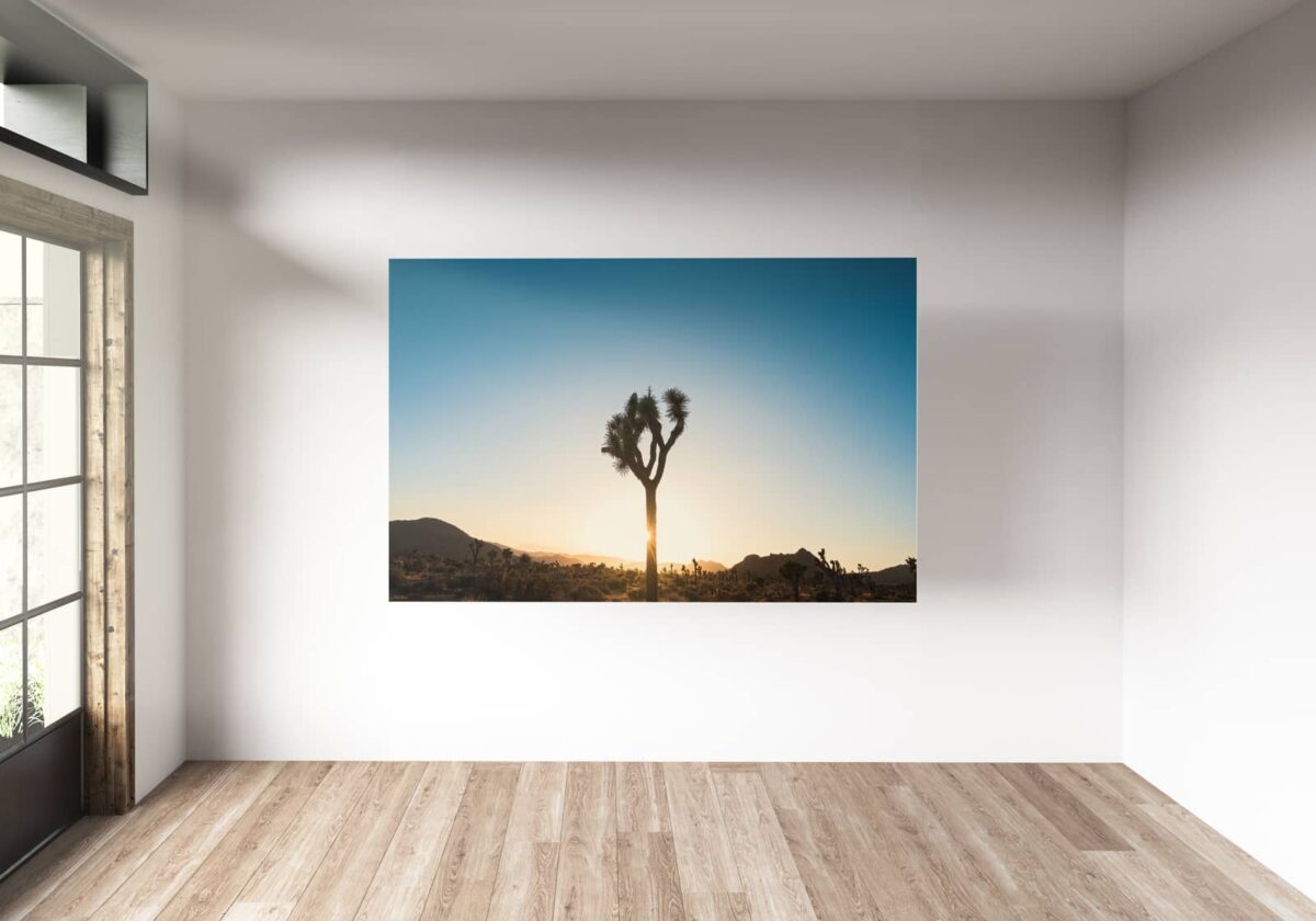 Landscape print of Joshua trees in silhouette at sunset in California