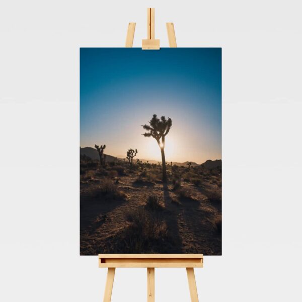 Landscape print of Joshua trees in silhouette at sunset in California