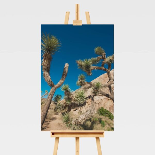 Landscape print of Joshua trees in California