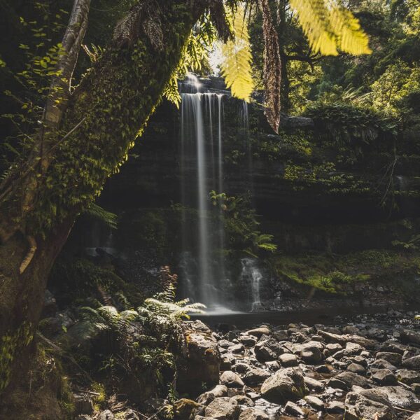 Long exposure photograph of Russell Falls in Tasmania