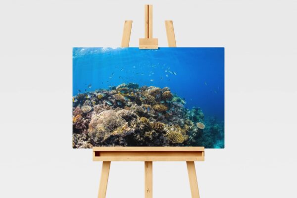 Coral reefscape at Opal Reef, Great Barrier Reef, underwater print