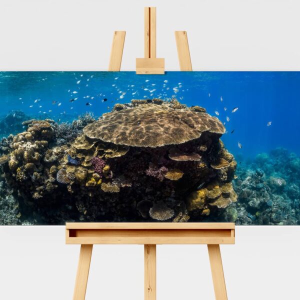 Coral reefscape at Agincour Reef, Great Barrier Reef underwater print