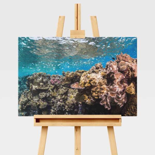 Coral reefscape at Agincour Reef, Great Barrier Reef underwater print