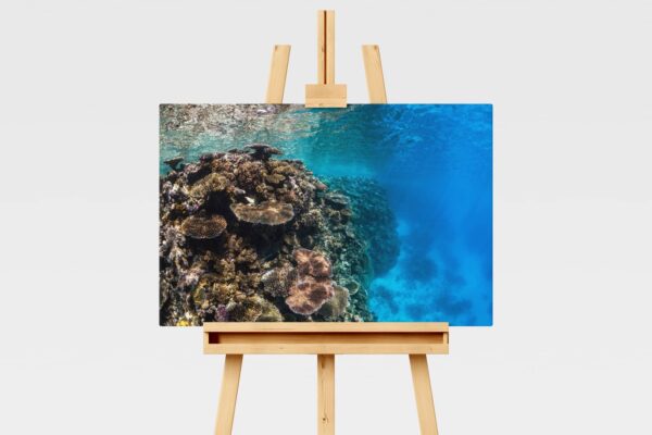 Underwater Print of Agincourt Reef, Port Douglas, Australia