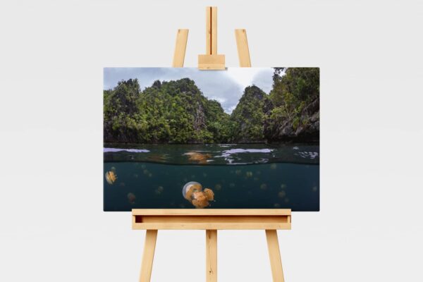 Underwater print of jellyfish Lake in Raja Ampat, Indonesia