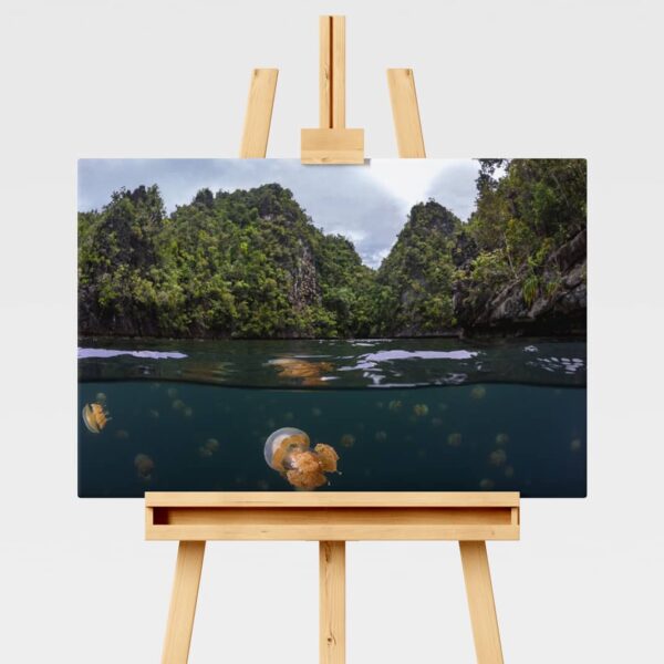 Underwater print of jellyfish Lake in Raja Ampat, Indonesia