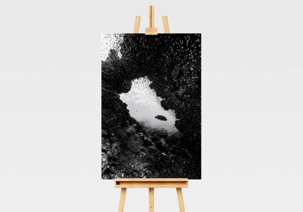 Black and white print of an underwater swim through on the Great Barrier Reef