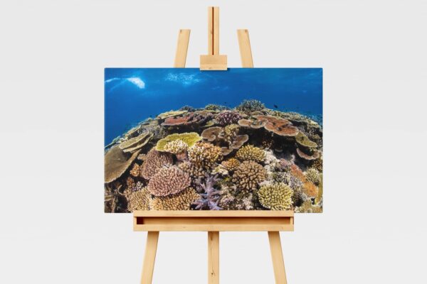 Underwater print of a coral reefscape on the Great Barrier Reef