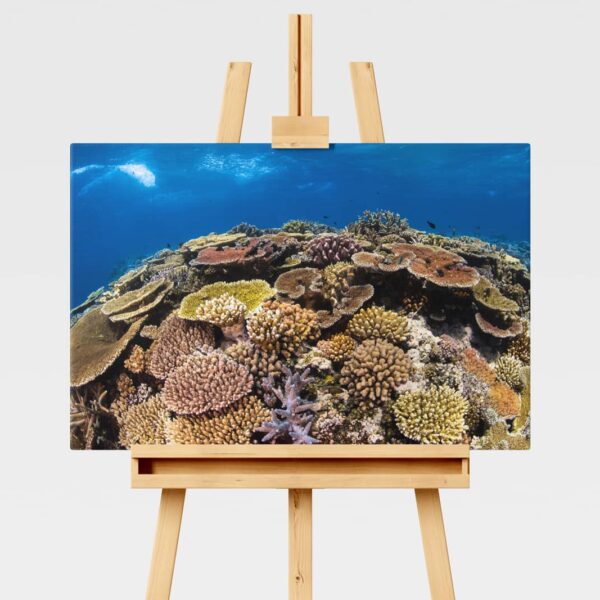 Underwater print of a coral reefscape on the Great Barrier Reef