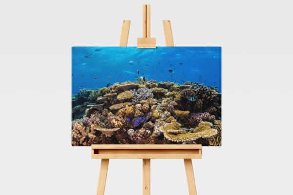 Underwater print of a coral reefscape on the Great Barrier Reef