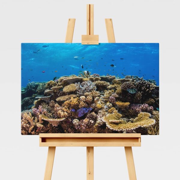 Underwater print of a coral reefscape on the Great Barrier Reef