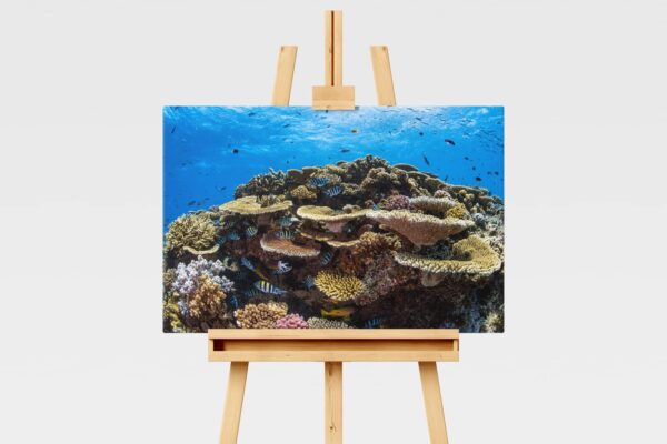 Underwater print of a coral reefscape on the Great Barrier Reef