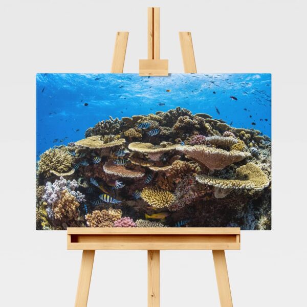 Underwater print of a coral reefscape on the Great Barrier Reef