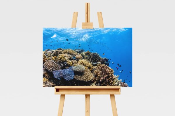 Underwater print of a coral reefscape on the Great Barrier Reef