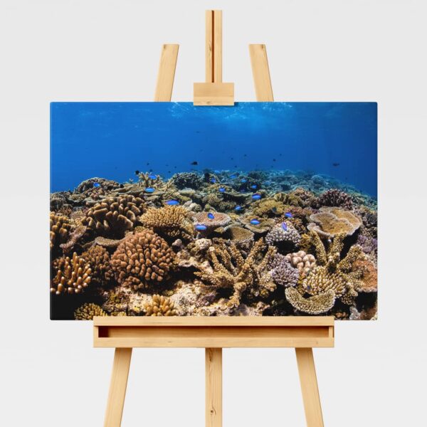 Underwater print of a coral reefscape on the Great Barrier Reef