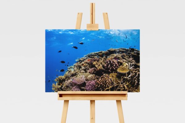 Underwater print of a coral reefscape on the Great Barrier Reef