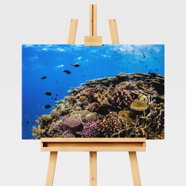 Underwater print of a coral reefscape on the Great Barrier Reef