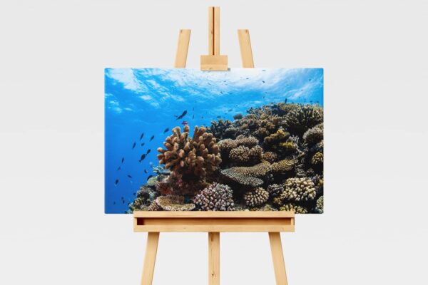 Underwater print of a coral reefscape on the Great Barrier Reef