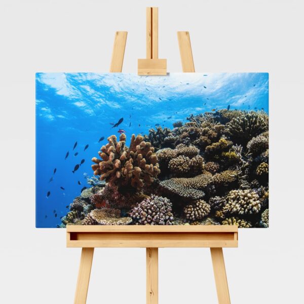 Underwater print of a coral reefscape on the Great Barrier Reef