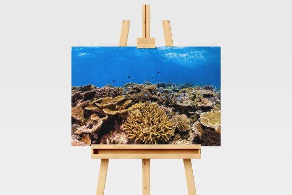 Underwater print of a coral reefscape on the Great Barrier Reef