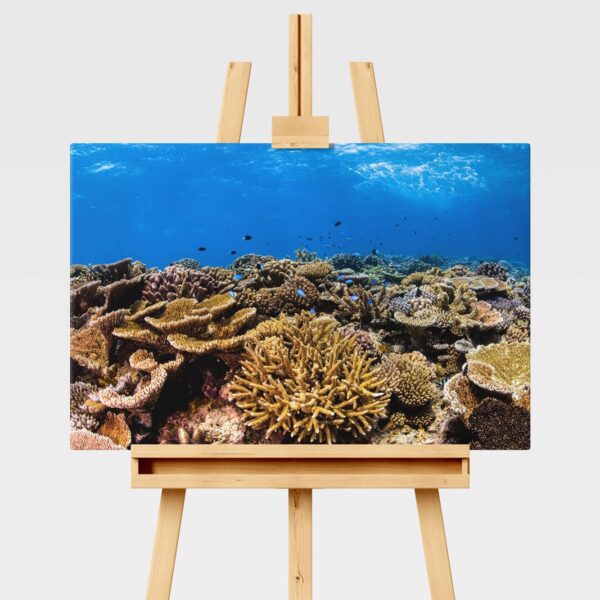 Underwater print of a coral reefscape on the Great Barrier Reef