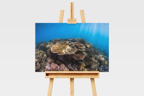 Underwater print of a coral reefscape on the Great Barrier Reef