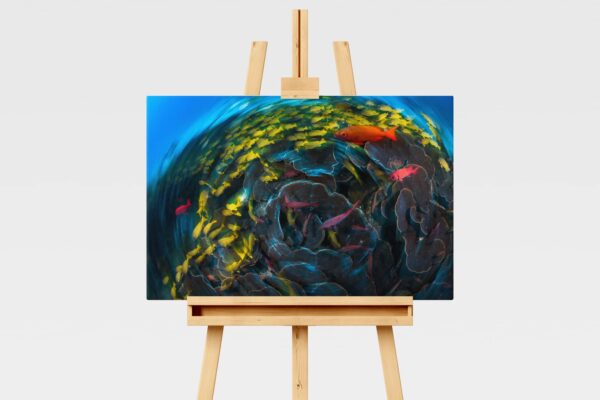 Underwater long exposure print of fish on the reef