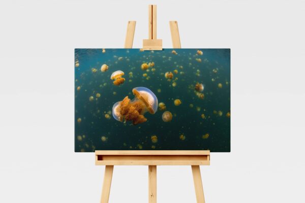 Underwater print of jellyfish lake in Raja Ampat, Indonesia