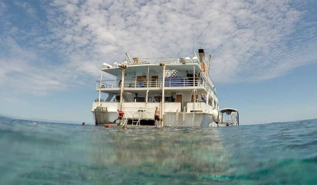 Volunteering On A Liveaboard, The Good, The Bad & The Ugly