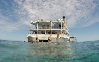 Volunteering On A Liveaboard, The Good, The Bad & The Ugly