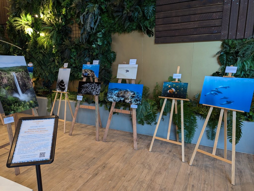 Photography Exhibition Cairns