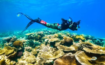 How To Take A Great Underwater Photo